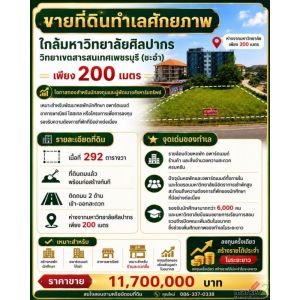 ขายที่ดิน 292 ตร.ว. ทำเลทอง 200 เมตร ถึง ม.ศิลปากร วิทยาเขตสารสนเทศเพชรบุรี 