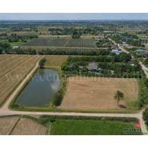 ลดราคาด่วน ที่ดิน 9-3-99.5 ไร่ ดอนโพธิ์ - สุพรรณบุรี มีผู้เช่า ทำเลดี