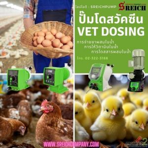 การปรับสภาพน้ำในฟาร์ม จ่ายสารละลาย เติมคลอรีน เติมวิตามิน ด้วยปั๊มยุโรป +2