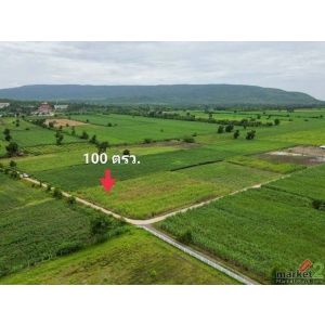 1 ขาย ที่ดิน ถูกสุด ที่วิวเขา ติดถนนคอนกรีต1แสนบาท 100ตรว. วังเพลิน โคกสำโรง ลพบ