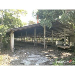 ขายโกดัง เชียงราย ถนนสายบ้านเวียงเดิมบ้านไตรแก้ว อำเภอเวียงชัย