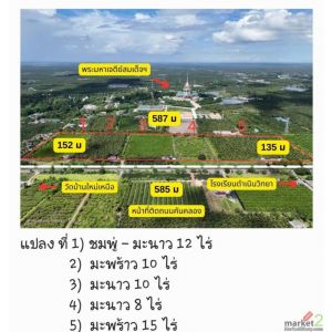 ขายที่ดินสวน  ติดหลังวัดหลวงพ่อสด ด้านหน้าติดถนนคลองชลประทาน อำเภอดำเนินสะดวก จั
