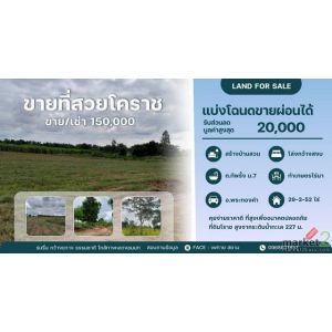 ทรัพย์น่าซื้อบอกต่อราคาดีคุยง่าย  โคราชพื้นที่สูง ที่ดินพระทองคำ ทัพรั้ง ห่าง 40