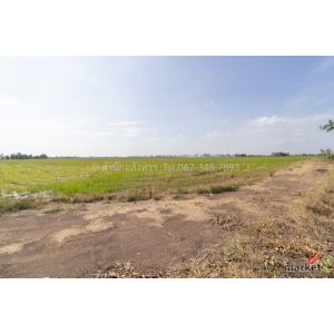 ขายที่ดินเปล่า (ปัจจุบันเป็นที่นา) เนื้อที่ 20 ไร่ ทรงสวยสี่เหลี่ยม ต.วังพัฒนา อ
