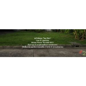DSL-693 ขาย ที่ดิน ขายที่ดินเปล่าถมแล้ว (แปลงหัวมุม) ในหมู่บ้านจัดสรร 116.30 ตร.