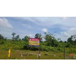 ขายที่ดิน 17-0-40 ไร่   ใกล้ถ.มิตรภาพ  283 เมตร เชียงหวาง  อำเภอเพ็ญ   จ.อุดรธาน