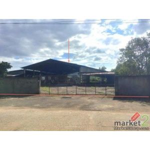 ขายโกดัง เชียงราย 3 ไร่ 3 งาน 79 ตารางวา ตำบลแม่เจดีย์ อำเภอเวียงป่าเป้า