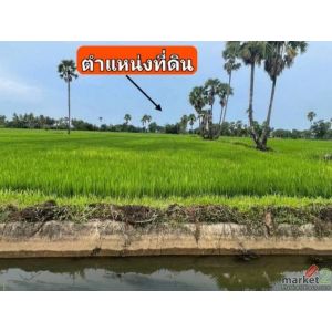 ขายที่ดิน ทำเลทองแห่งความสงบ ต.บ้านหาด อ.บ้านลาด เพชรบุรี