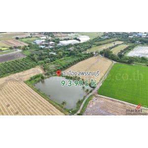 ราคาพิเศษ ขายด่วนมาก ที่ดิน 9-3-99.5 ไร่ ดอนโพธิ์ - สุพรรณบุรี ทำเลดี