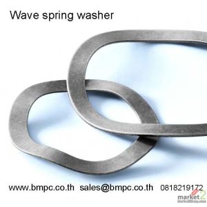 Wave spring washer, แหวนคลื่น, แหวนดันลูกปืน, แหวนกันรุน, Schnorr, DIN2093