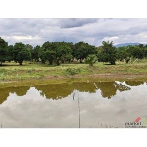 ขาย ที่ดิน ดอยหล่อ เชียงใหม่ 7 ไร่ 2 งาน 36 ตร.ว. ติดถนนทางหลวง 3096  สวนลำไยพร้