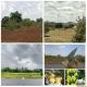 ขายบ้านพร้อมที่ดิน  อยู่ในชุมชน น้ำไฟพร้อม อำเภอเลาขวัญ จ.กาญจนบุรี 