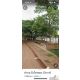 ขายถูกมาก!! ที่ดิน 84 ตร.ว. ทำเลทอง ติดถนน ติดบึงโขงหลง อ.บึงโขงหลง จ.บึงกาฬ