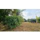 ขายสวนผลไม้รวมแปลงละ 2 ไร่ มีให้เลือก 2 แปลง ต.เขาเพิ่ม อ.บ้านนา จ.นครนายก ที่สว