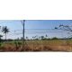 ขายที่ดินหนองขาม ศรีราชา ชลบุรี แปลงสวย ห่างถนน331เพีย 3 กม. FP-L01899 
