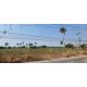 ขายที่ดินหนองขาม ศรีราชา ชลบุรี แปลงสวย ห่างถนน331เพีย 3 กม. FP-L01899 