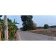 ขายที่ดินบ้านบึงชลบุรี ขายที่ดินบ้านบึงชลบุรี 37 ไร่ สี ห่างจากถนน3138 2 กม.