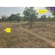ขายที่ดินหลักแสน เหมาะสร้างบ้านพักอาศัย ที่ดินขามใหญ่ ในเมืองอุบลราชธานี  ต.ขามใ