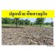 ขายที่ดินเปล่าแปลงมุม ถมแล้ว ซอยเทคโนโลยีแหลมทอง   ทำเลศักยภาพ อำเภอเมืองปทุมธาน