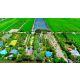 ที่ดิน 2 ไร่ พร้อมสิ่งปลูกสร้าง ไทรน้อย - นนทบุรี บ้านสวน สไตล์คาเฟ่