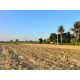 พื้นที่ดิน - ขนาดเท่ากับ 400 ตรว.  279000 THAI BAHT เดินทางง่าย สุพรรณบุรี   