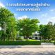 บ้านเดี่ยว หมู่บ้าน สัมมากร ชัยพฤกษ์ - วงแหวน 2 ( วิวหน้าสวน )