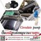 ปั๊ม Magnetic Drive ปลอดภัยจากการรั่วซึม ++++
