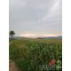 ขายที่ดินแปลงใหญ่ เหมาะสำหรับนักลงทุน  จังหวัดสระบุรี