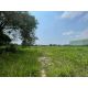 ที่ดินหนองขาม ศรีราชา 10 ไร่ ทำเลศักยภาพ ใกล้นิคมปิ่นทอง TP-L2401