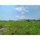 ที่ดินหนองขาม ศรีราชา 10 ไร่ ทำเลศักยภาพ ใกล้นิคมปิ่นทอง TP-L2401