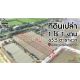 จองด่วน ที่ดินเปล่า 1-1-65.5 ไร่ ไทรงาม ถนนบางเลน นครปฐม ติดถนน