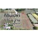 จองด่วน ที่ดินเปล่า 1-1-65.5 ไร่ ไทรงาม ถนนบางเลน นครปฐม ติดถนน