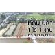 จองด่วน ที่ดินเปล่า 1-1-65.5 ไร่ ไทรงาม ถนนบางเลน นครปฐม ติดถนน