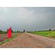 ที่ดินถูกโปรดีแบ่งจ่ายได้1ปีฟรีขุดบ่อที่คลอง9หนองเสือปทุมธานี