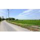 ที่ดินราคาถูก 4-2-63 ไร่ เข้าออกได้หลายทาง  ต.บางซ้าย พระนครศรีอยุธยา