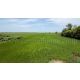 ที่ดินราคาถูก 4-2-63 ไร่ เข้าออกได้หลายทาง  ต.บางซ้าย พระนครศรีอยุธยา