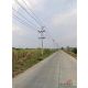 ขายที่ดิน หนองไผ่แก้ว 116 ไร่ (แบ่งขายได้) บ้านบึง ชลบุรี