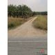 ขายที่ดิน เนื้อที่  311-2-50 ไร่  ผังเมืองสีเหลือง คลองกิ่ว บ้านบึง ชลบุรี
