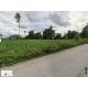 ขายที่ดิน 60 ไร่ บ่อวิน ศรีราชา ผังสีเหลือง–ม่วงลาย ใกล้นิคมอุตสาหกรรม TP-L1415