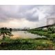 FOR SALE ที่ดินผังสีแดง 21 ไร่ Rare Item  ติดถนนบางนา  ตราด กม.12  ที่ดินแปลงใหญ