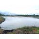 ขายที่ดินพานทองชลบุรี ขายที่บ่อเลี้ยงปลานิล เนื้อที่ 13 ไร่เศษ โซนนิคมอุตสาหกรรม