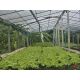 ที่ดินสวนออร์แกนิค 5 ไร่ ทำเลศักยภาพ ใกล้วัดไร่ขิง–ดอนหวาย–เซ็นทรัลศาลายา พื้นที