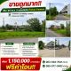 ขายถูกมาก!! ที่ดิน 45 ตร.ว. 2 แปลงติดกัน ติดถนน ทำเลทอง ต.คลองแห อ.หาดใหญ่