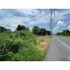 ที่ดินผืนงามติดแม่น้ำป่าสัก 11 ไร่เศษ ต.บ้านป่า อ.แก่งคอย จ.สระบุรี