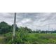  ขายที่ดินจอมบึง ราชบุรี 80 ตร.ว.เพียง 550,000 บาทเหมาะสำหรับคนที่กำลังมองหาที่ด