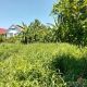 ขายด่วน ที่ดินเปล่า 347 ตร.ว ถมแล้ว ซอยร่วมใจพัฒนา บางขุนกอง ใกล้โฮมโปรราชพฤกษ์ 