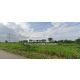 DSL-1019 ขาย ที่ดิน ขายบ้านพร้อมที่ดินสวนมะพร้าว มะม่วง บึงพระ จ.พิษณุโลก ติดถนน