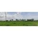 DSL-1019 ขาย ที่ดิน ขายบ้านพร้อมที่ดินสวนมะพร้าว มะม่วง บึงพระ จ.พิษณุโลก ติดถนน