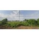 DSL-1012 ขาย ที่ดิน ขายที่ดินเปล่าถมแล้ว บึงพระ จ.พิษณุโลก ติดถนนเลี่ยงเมืองพิษณ