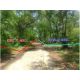 1 ขาย ที่ดิน ที่ดินใกล้ชุมชน รามดินทรา มีนบุรี กรุงเทพ 10314000 บาท